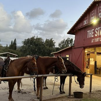 Stables at Turtle Bay Resort - Horseback Riding Near Me - Kahuku, Hawaii Stables at Turtle Bay Resort - Horseback Riding Near Me - Kahuku, Hawaii