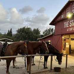 Stables at Turtle Bay Resort