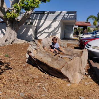 Cajun Kitchen Cafe - I wish they would turn this little area in the back of the restaurant into a kid-friendly Zone. Keep the tree trunk. - Breakfast & Brunch Near Me - Goleta, California