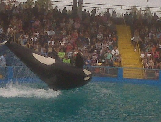 Miami Seaquarium by null