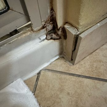 Hampton Inn & Suites Austin South/Buda - Not sure what this is, but it's gross. Plus, the tile is pulling away from the wall. - Hotels Near Me - Buda, Texas