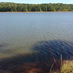 Holiday Campground - West Point Lake