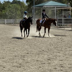 Arena Equestrian - Horse show!