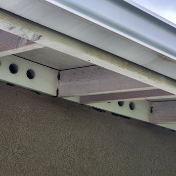 Absolute Termite & Pest Control - Millipedes bunched together easily reachable but not sprayed - Pest Control Near Me - Kapolei, Hawaii Absolute Termite & Pest Control - Millipedes bunched together easily reachable but not sprayed - Pest Control Near Me - Kapolei, Hawaii