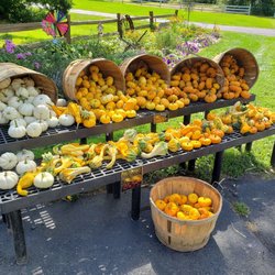 Ciesluk Farmstand