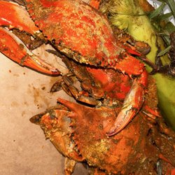 Steamed crabs and corn