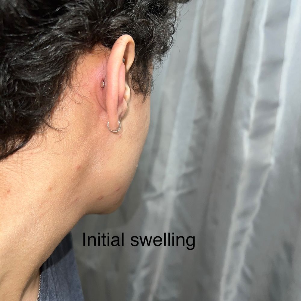 Royal Ink Gallery - Conch piercing - Tattoo Near Me - Brooklyn, New York Royal Ink Gallery - Conch piercing - Tattoo Near Me - Brooklyn, New York