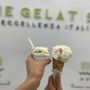Photo of The Gelatist