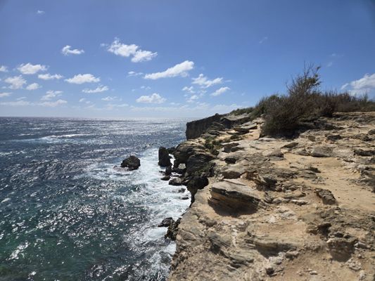 Shipwreck Beach by null