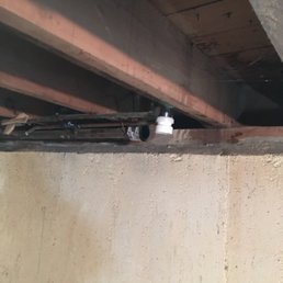 Trap after removal