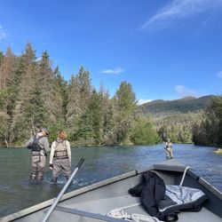 Five Dogs Fishing