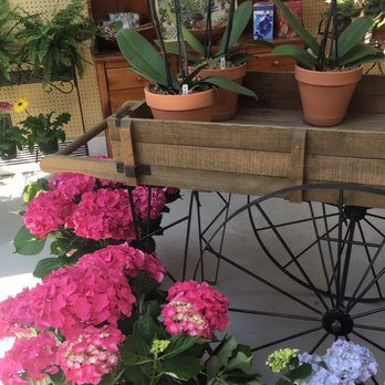 Rosedale Nurseries - Size - Nurseries & Gardening Near Me - Hawthorne, New York