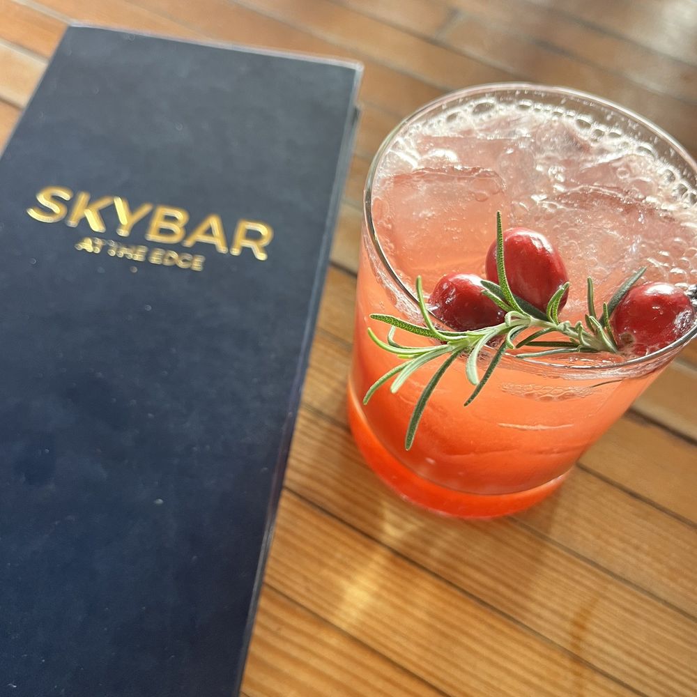 Rosemary Christmas- citrus vodka, cranberry, raspberry, rosemary, ginger beer.   Very refreshing