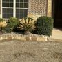 Photo of Yepez Yard Masters