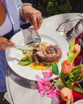 Meet Dalia - Mediterranean restaurant in Miami Beach by null