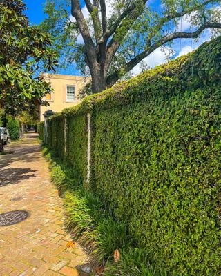 New Orleans Secrets Tours by null