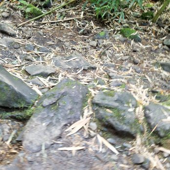 Pipiwai Trail - Hiking Near Me - Hana,, Hawaii