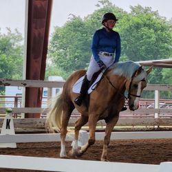 E H Equestrians - Dressage class at Sissortail Hill Equestrian May 2024.