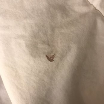 Comfort Suites - Comforter had dried stains - Hotels Near Me - Sumter, South Carolina