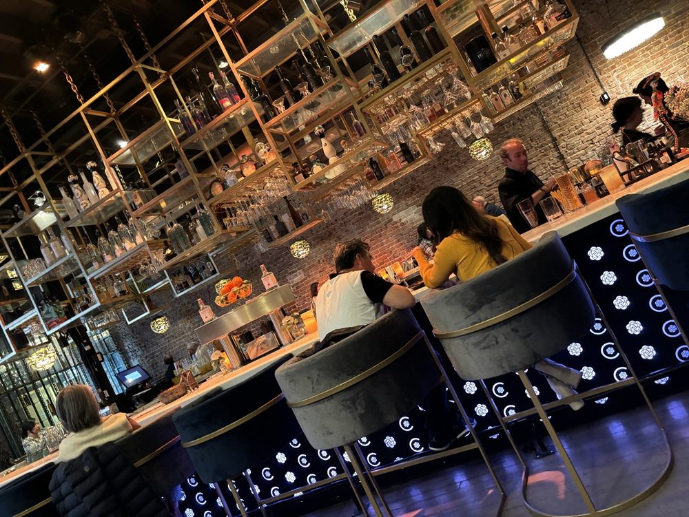 CAMELIA Modern Mexican Cuisine
