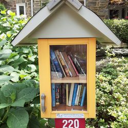 Little Free Library - Little Free Library on West Durand St. in West Mt. Airy
