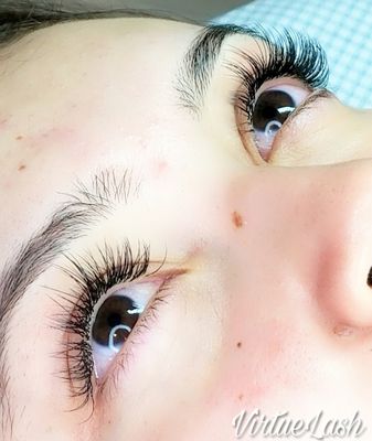 Virtue Lash by null