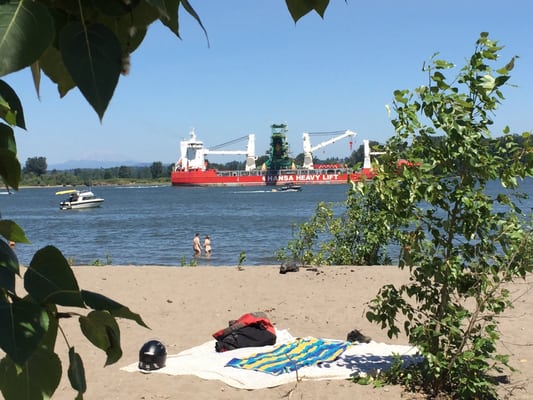 Collins Beach (clothing optional) by null