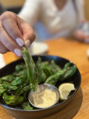 IPPUDO Cupertino by null