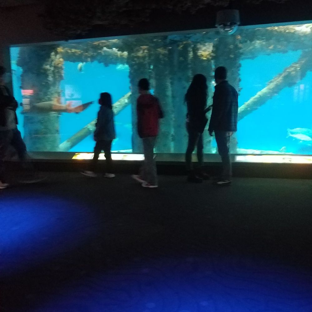 Texas State Aquarium - Aquariums Near Me - Corpus Christi, Texas Texas State Aquarium - Aquariums Near Me - Corpus Christi, Texas