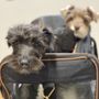 Photo of Suburban Animal Hospital