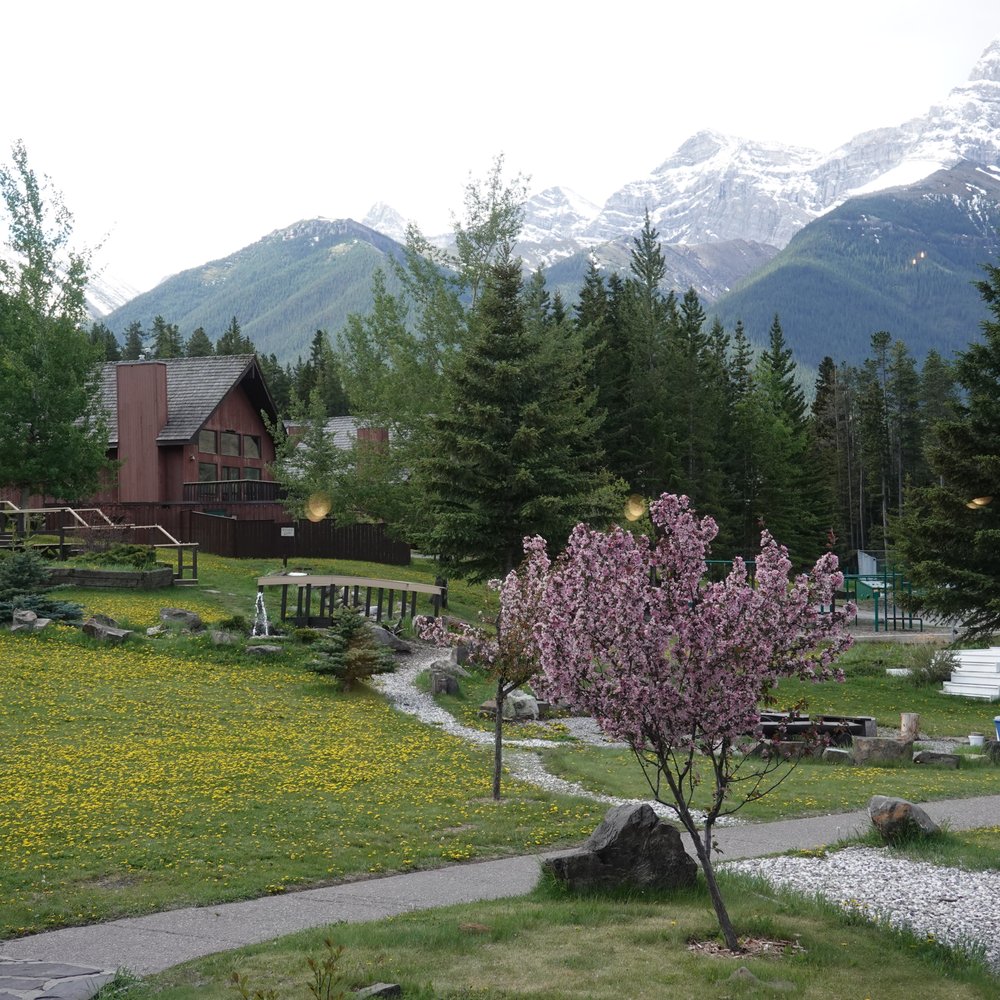 Banff Gate Mountain Resort - Banff Gate Mountain Resort in Spring! - Hostels Near Me - Canmore, Alberta Banff Gate Mountain Resort - Banff Gate Mountain Resort in Spring! - Hostels Near Me - Canmore, Alberta