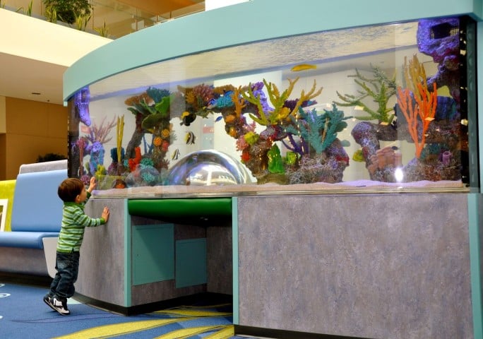 Westfield Plaza Bonita