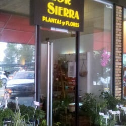 Flor Sierra