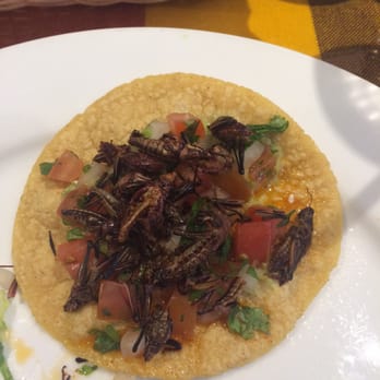 Restaurant Mole Del Rey - Cricket tacos - Mexican Near Me - Bell, California Restaurant Mole Del Rey - Cricket tacos - Mexican Near Me - Bell, California