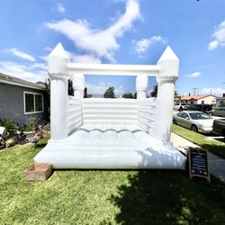 Camis Funzone - Luxy Bounce