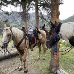 Boulder Lake Lodge