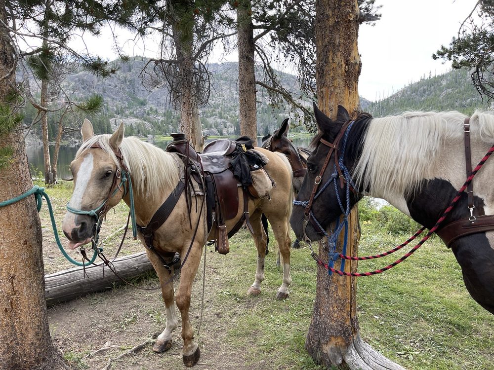BOULDER LAKE LODGE 48 Bridger Dr, Boulder, Wyoming Phone Number Yelp