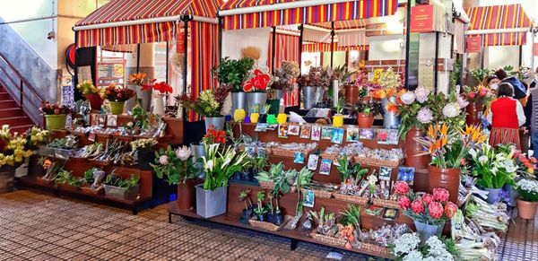 Mercado dos Lavradores (farmers' market) by null