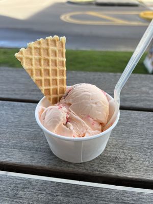 Chill Bros Scoop Shop by null