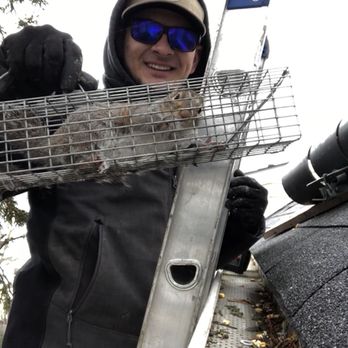 NCO Nuisance Control - Squirrel removal with non baited traps. - Pest Control Near Me - New Franklin, Ohio NCO Nuisance Control - Squirrel removal with non baited traps. - Pest Control Near Me - New Franklin, Ohio