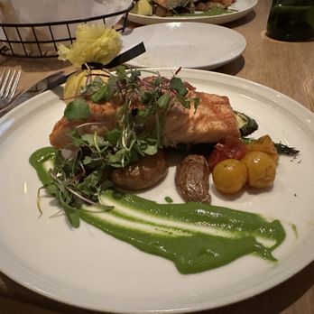 Serafina Back Bay - Salmon - Italian Near Me - Boston, Massachusetts