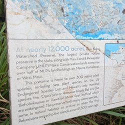 Mahana Ridge Trail