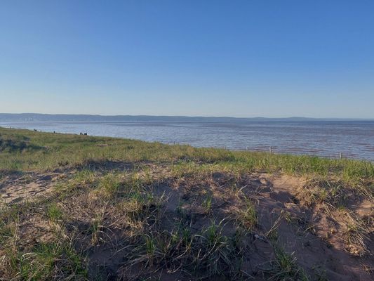 Park Point Beach And Beach House by null