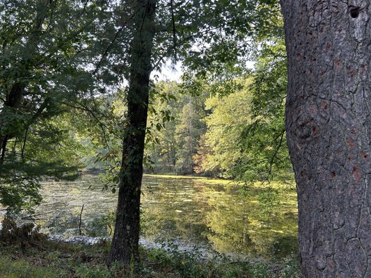 Edith Macy Conference Center by null