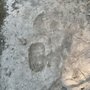 Spirit Trail Walk