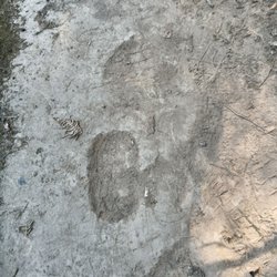 Spirit Trail Walk - Sasquatch?