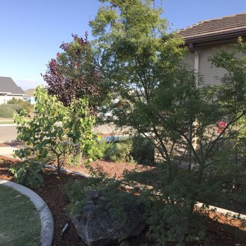 Quality Landscape Construction - Landscape Architects or Designers Near Me - Visalia, California