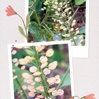 Koko Head District Park - Nature walk - Parks Near Me - Honolulu, Hawaii