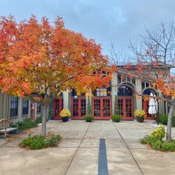 Therapy with Valerie - Front of Danville therapy & web design office with fall leaves