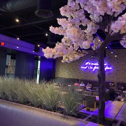 Sushi Sake Hialeah Gardens